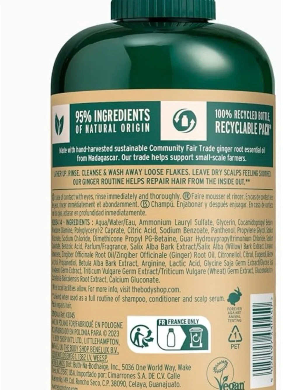 The Body Shop Ginger Anti-Dandruff Shampoo